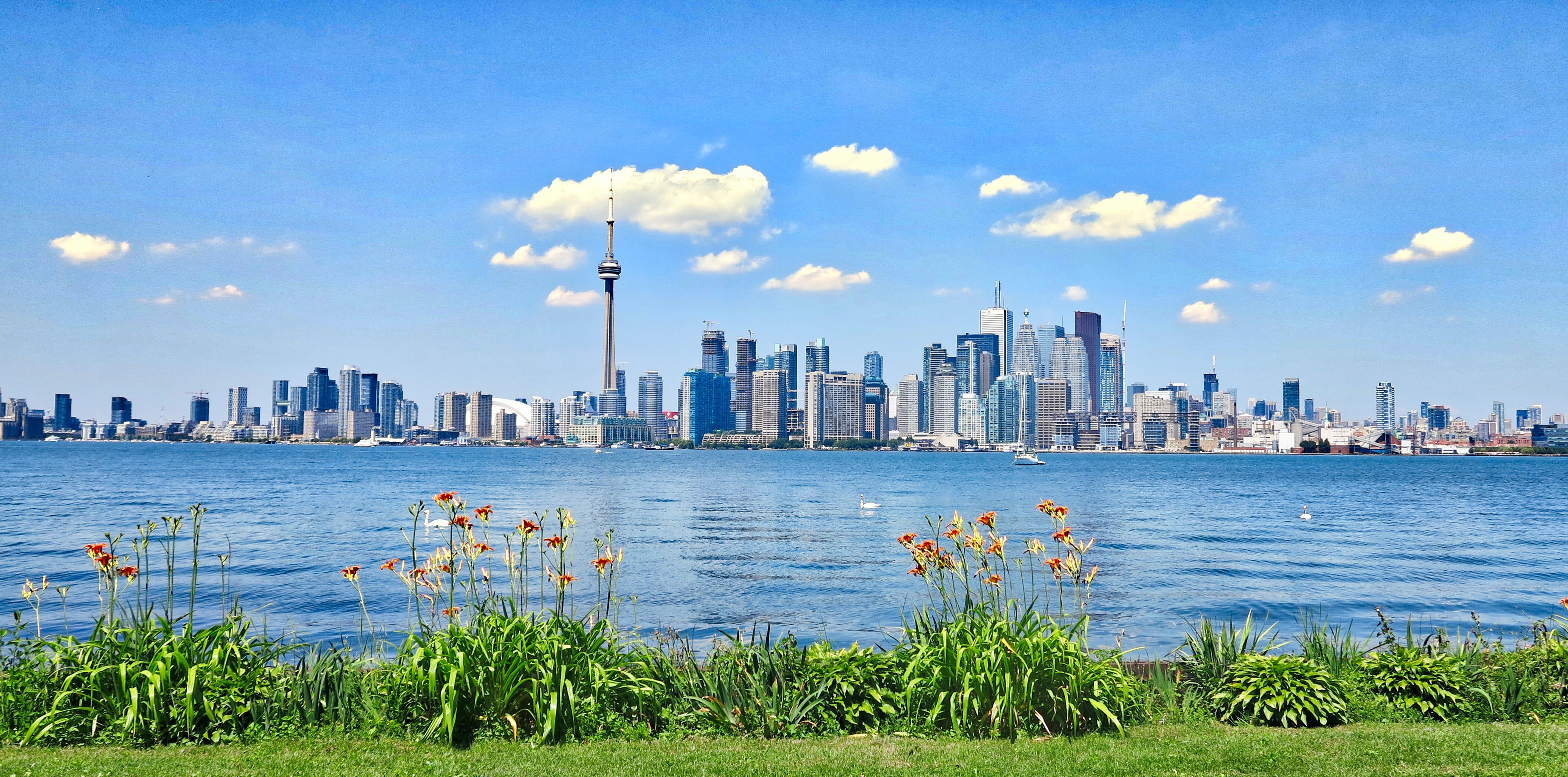 Toronto landscape along water